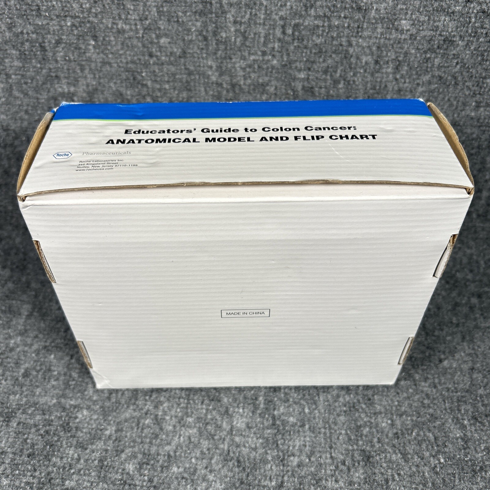Colon Cancer Anatomical Anatomy Model Chart Display Roche Pharmaceutical Xeloda