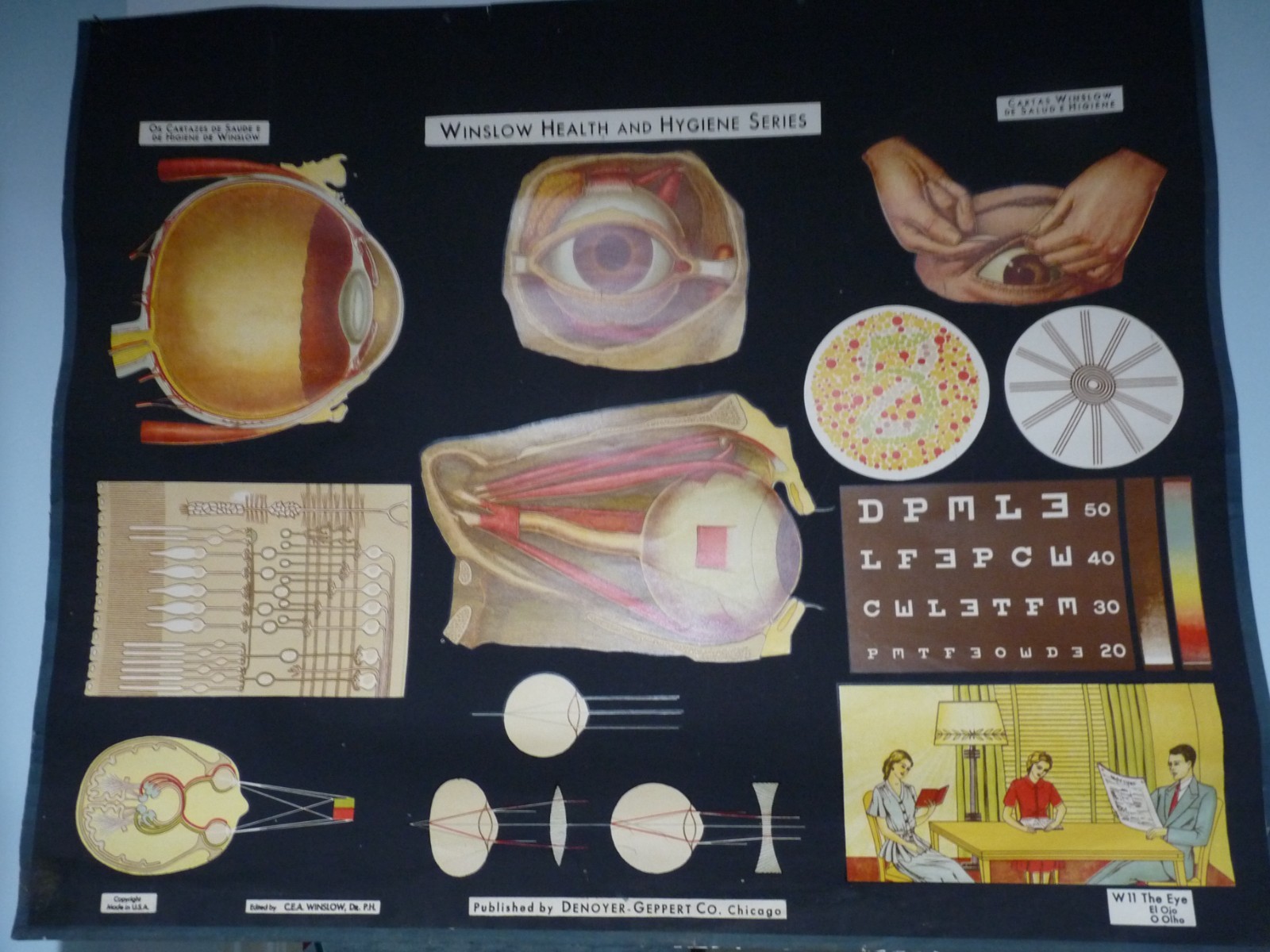 “THE EYE” 1930S PULL DOWN MEDICAL CHART , DENOYER GEPPERT 44X36