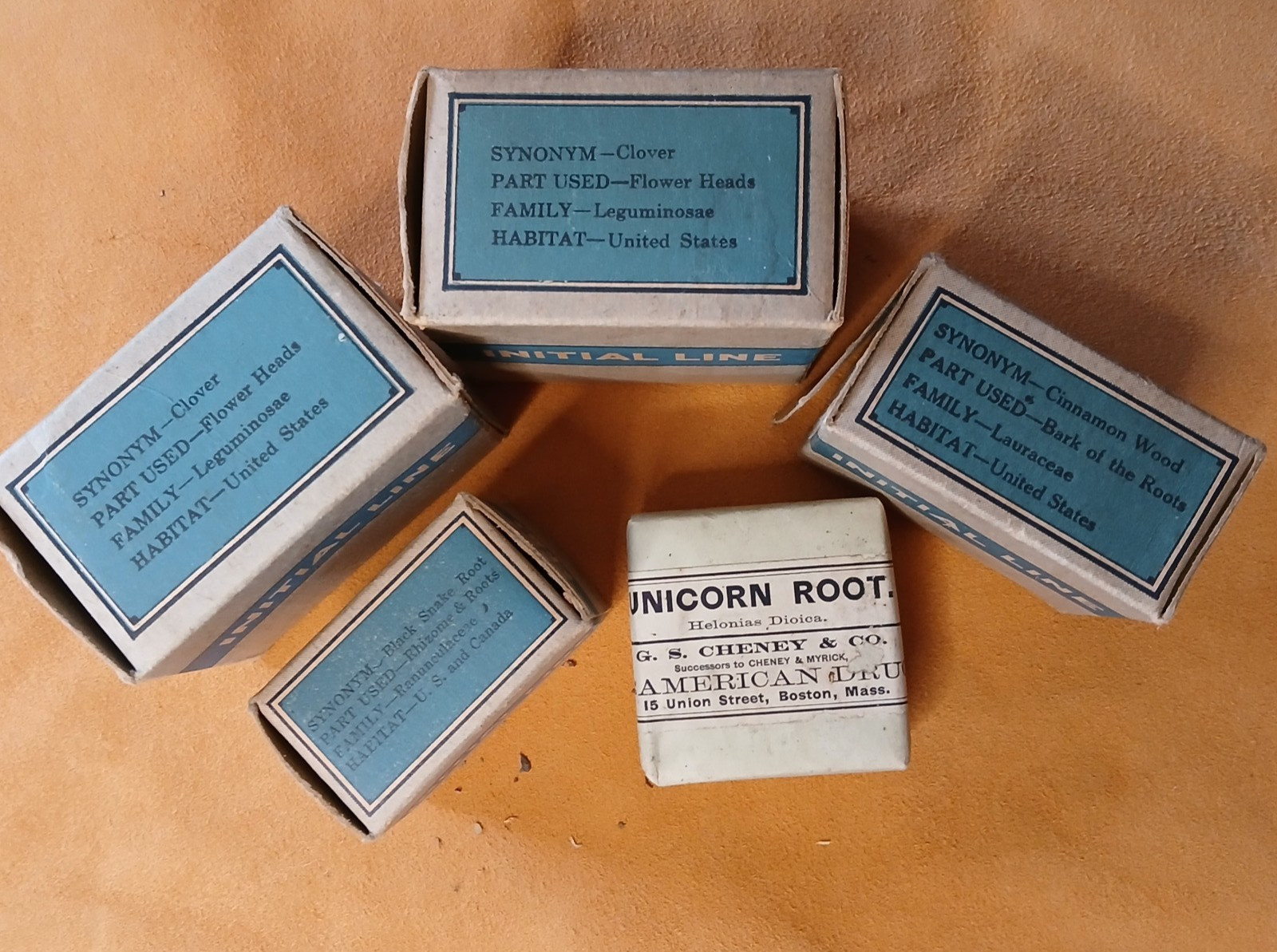 Lot 5 Vintage Apothecary Medicinal Herbs , Cheney & Co. SB Penick