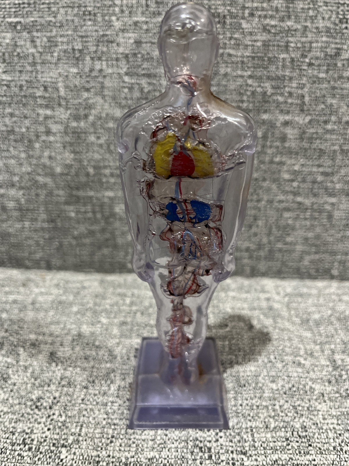 Vintage 1959 Hydro Diuril Merck Sharp Dohme Pharmaceutical Advertising Figure