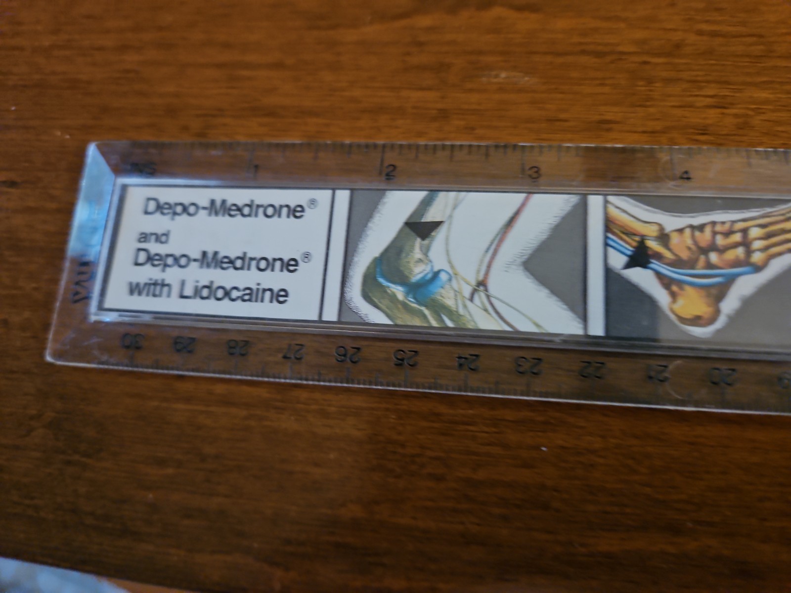 Vintage Upjohn Pharma. 12″ Plastic Ruler Advertising Lidocaine. Crawley UK