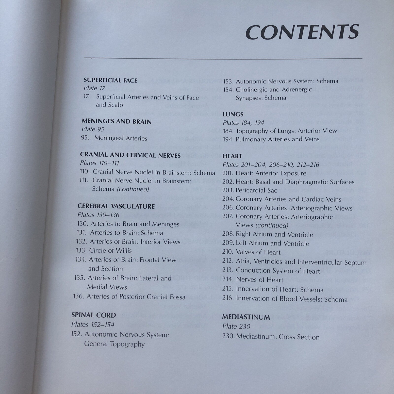 Pharmaceutical Norvatis Promo DIOVAN Cardiovascular Anatomy Hardcover Book