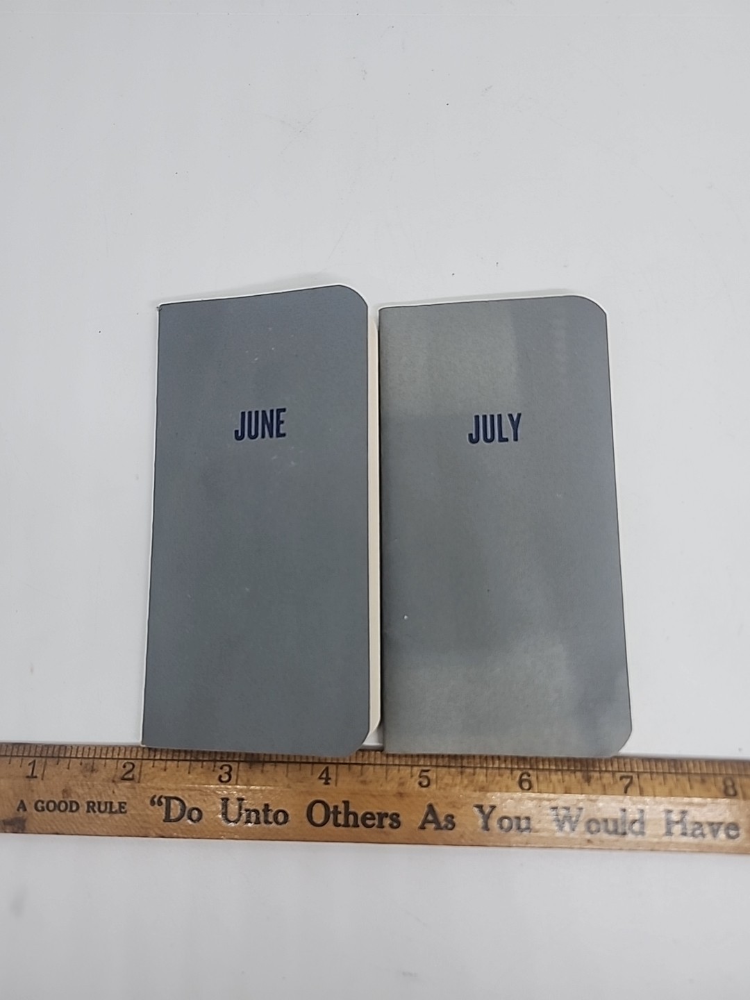 June & July 1955 Warner Chilcott Products Promotional Doctor Memo Book