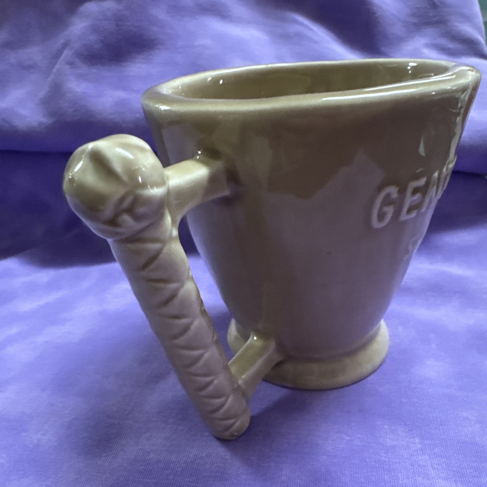 Veterinarian Schering Gentocin Solution Mortar & Pestle Horses Ceramic Mug