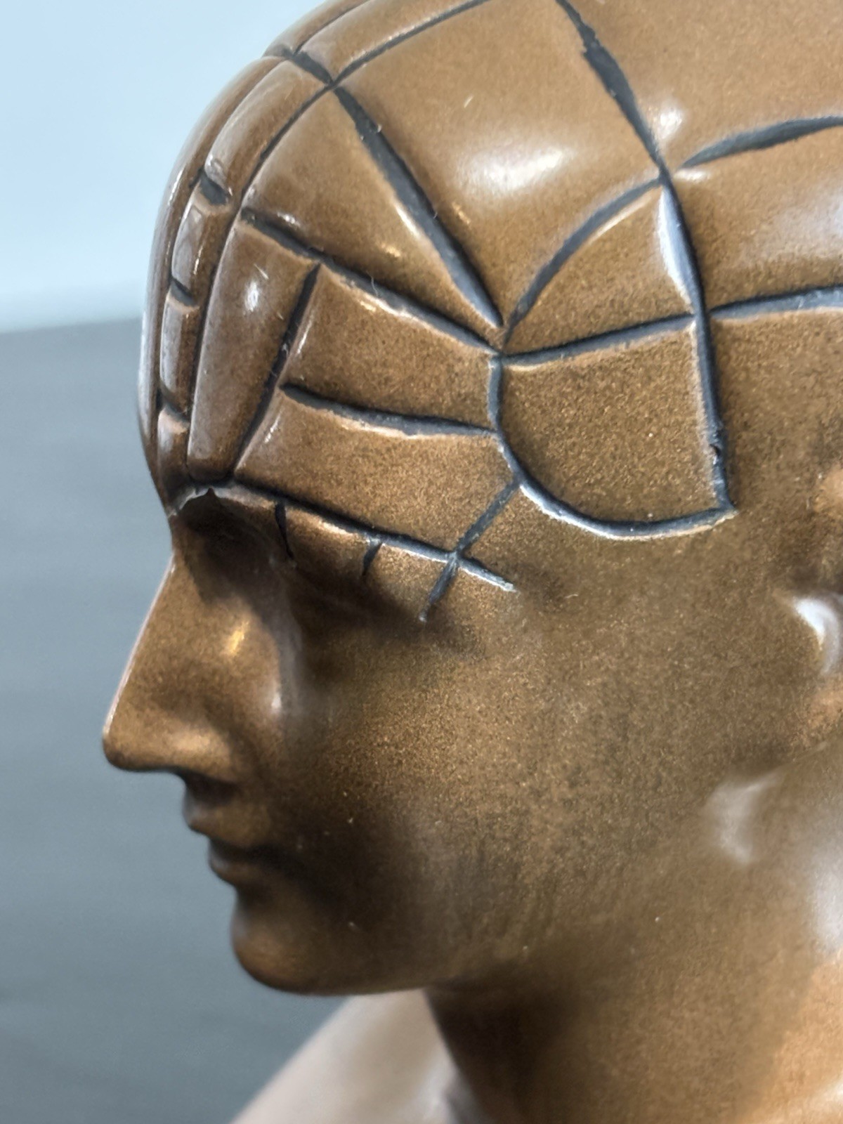 PHRENOLOGY HEAD-Medical Advertising-Promotional Statue BUST-Discontinued PAXIPAM