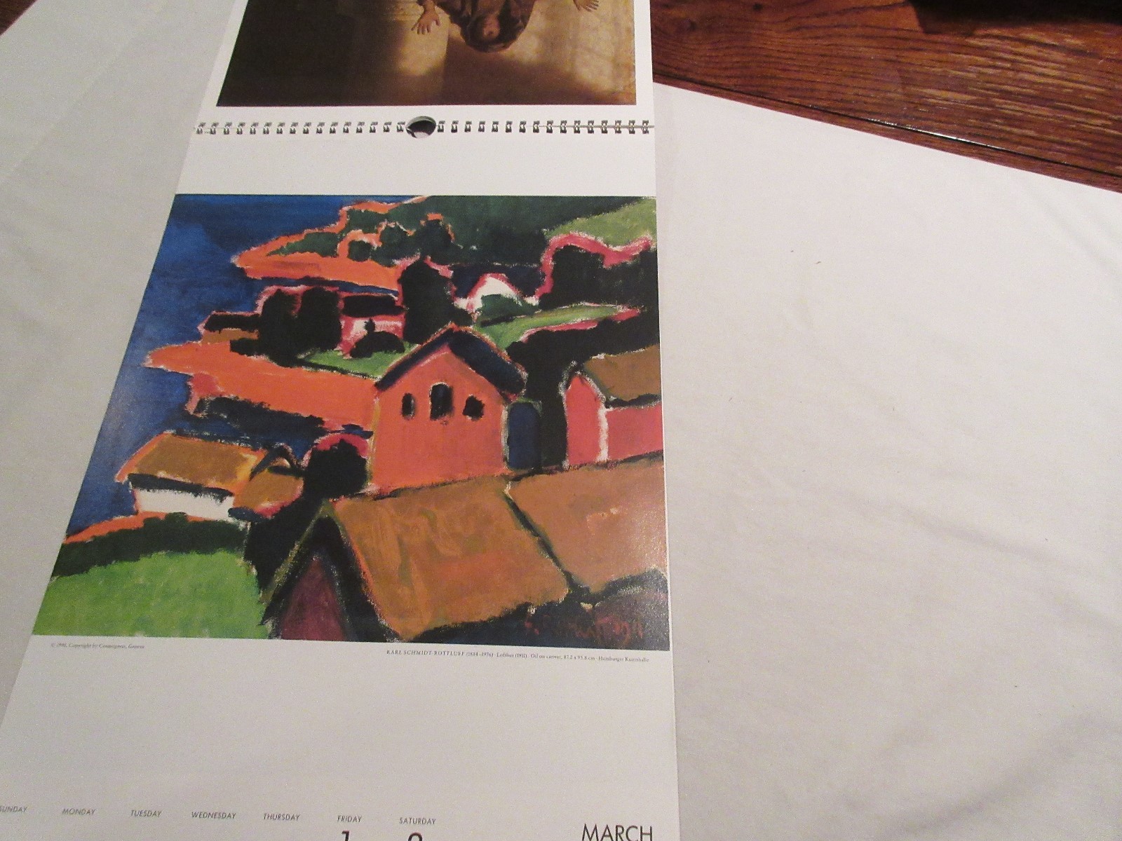 Rx , Hoechst-Roussel Pharmaceuticals Inc . ,1991 Calendar , 18 1/2″ X 11 1/2″