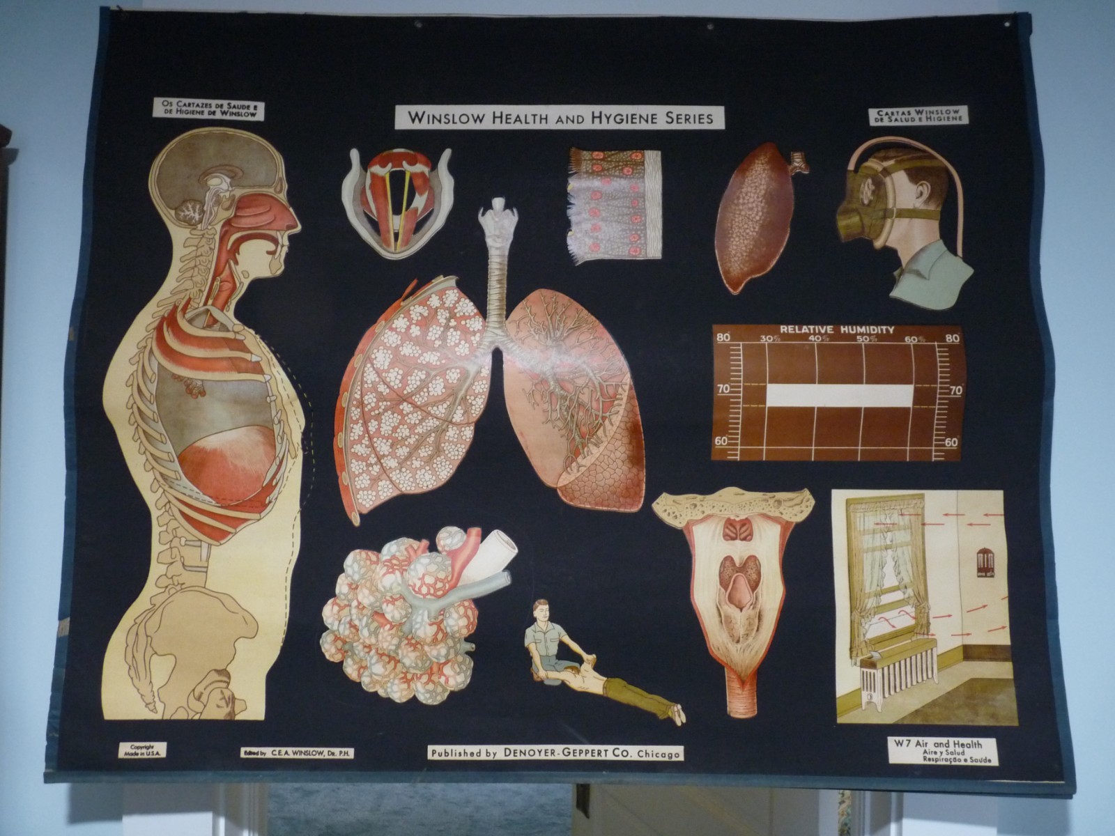 “AIR & HEALTH” 1930S PULL DOWN MEDICAL CHART , DENOYER GEPPERT 44X36