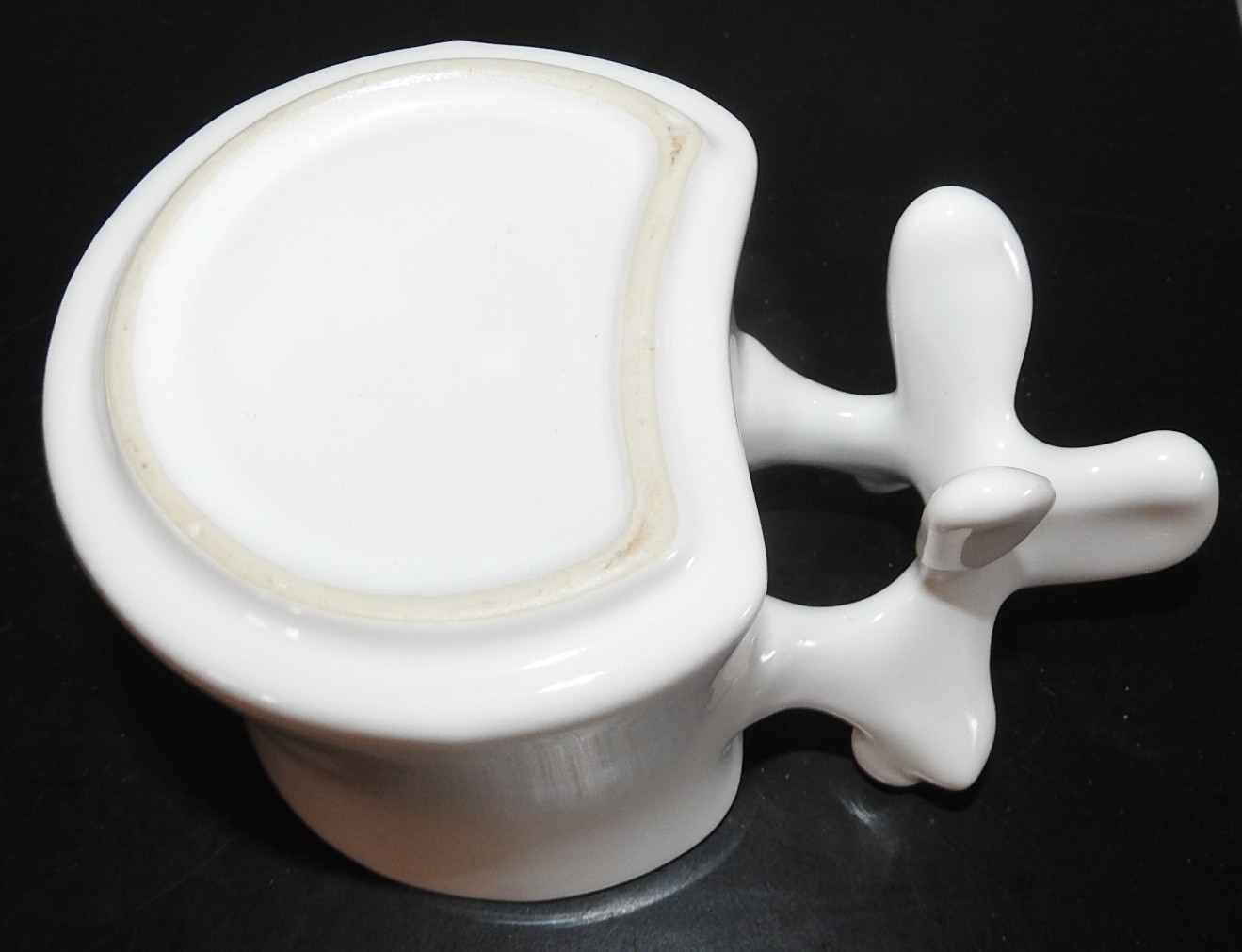 Spine Vertebrae Handle Ceramic Coffee Mug Medical Advertising Great Handle
