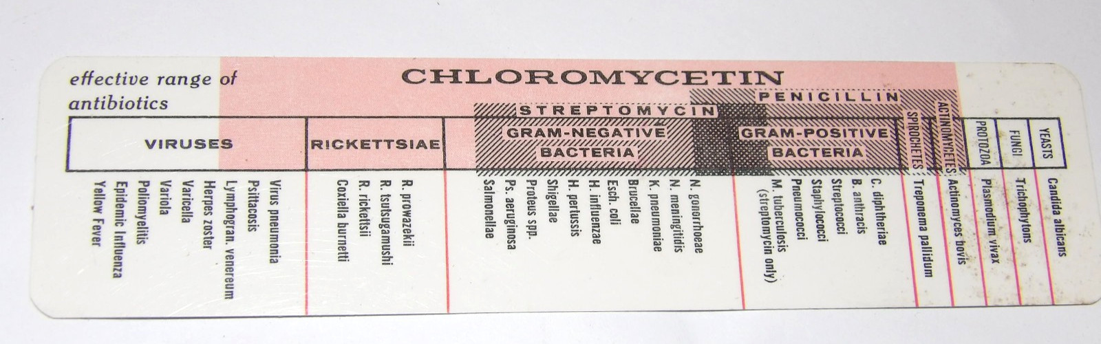 4 VINTAGE 1960s-70s PHARMACUTICAL ADVERTISING RULERS! CIBA/LILLY/PARKE-DAVIS!