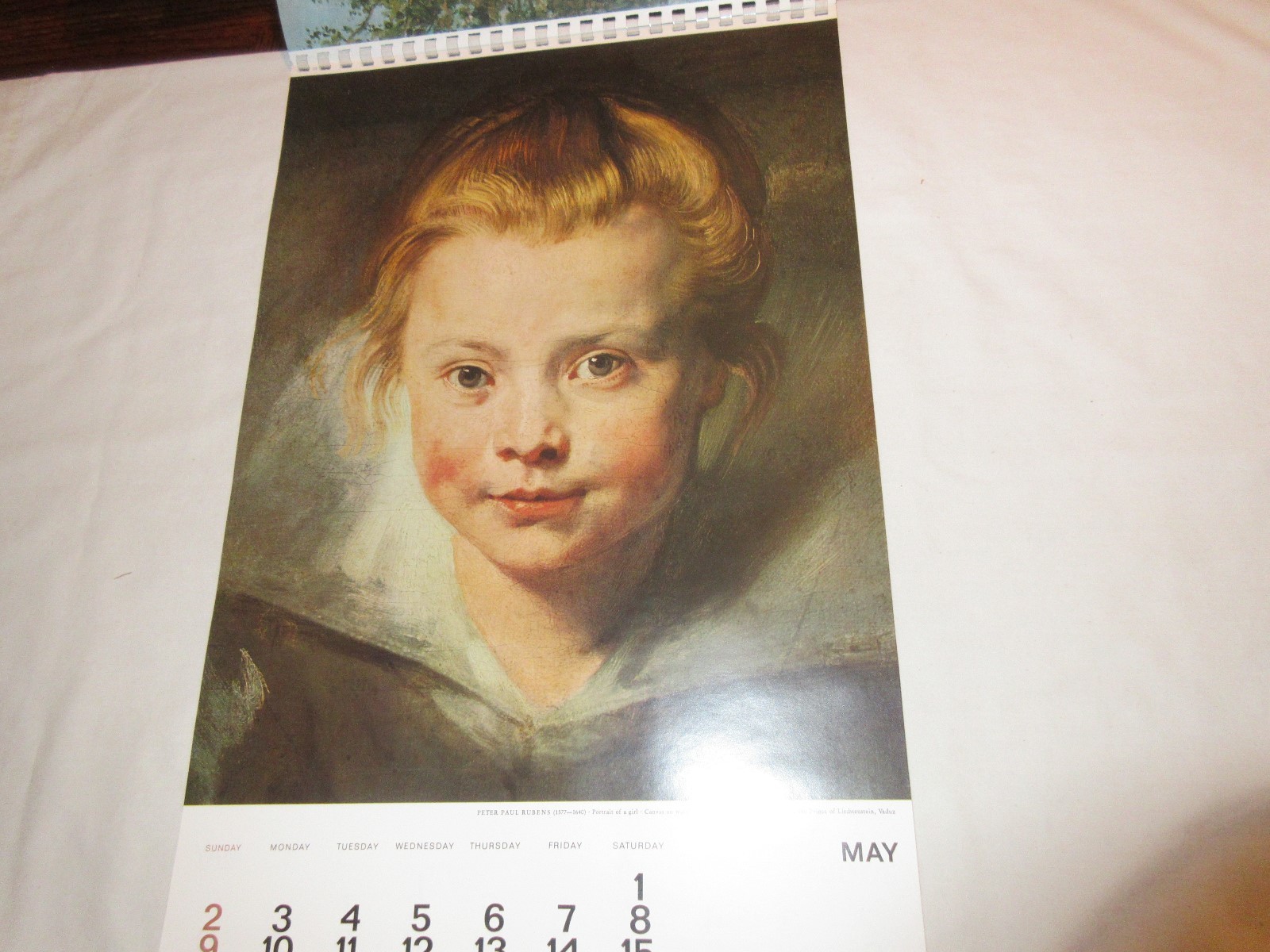 Rx , Hoechst-Roussel Pharmaceuticals Inc . ,1976 Calendar , 18 1/2″ X 11 1/2″