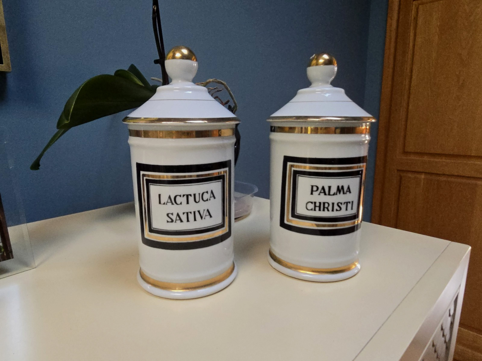 2 Antique Apothecary Jars Porcelain Palma Christi and Lactuca Sativa