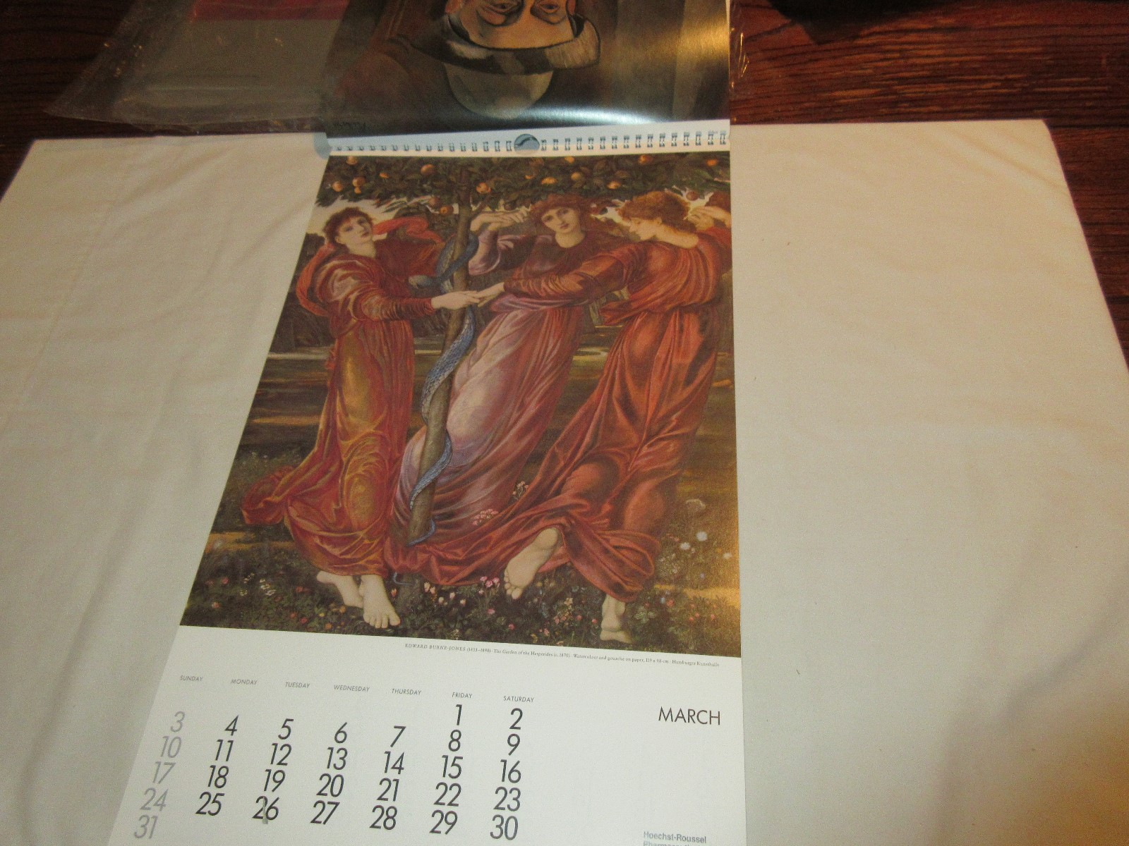 Rx , Hoechst-Roussel Pharmaceuticals Inc . ,1991 Calendar , 18 1/2″ X 11 1/2″