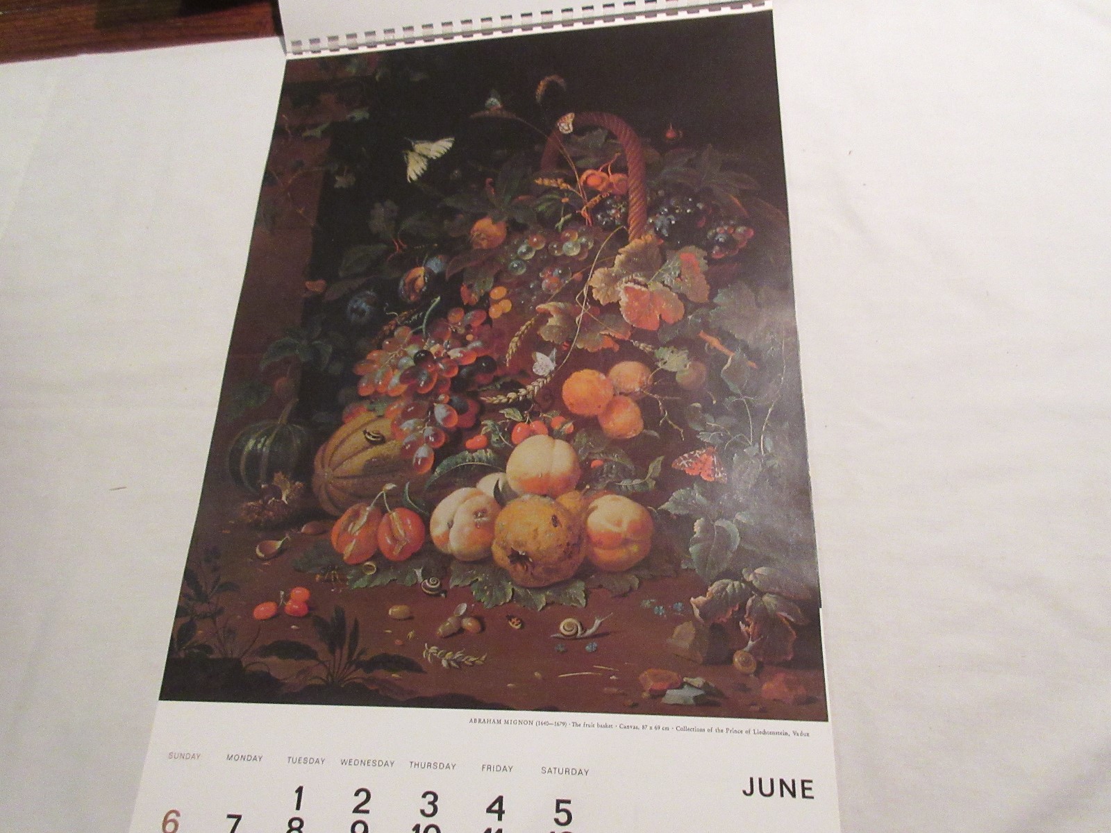 Rx , Hoechst-Roussel Pharmaceuticals Inc . ,1976 Calendar , 18 1/2″ X 11 1/2″
