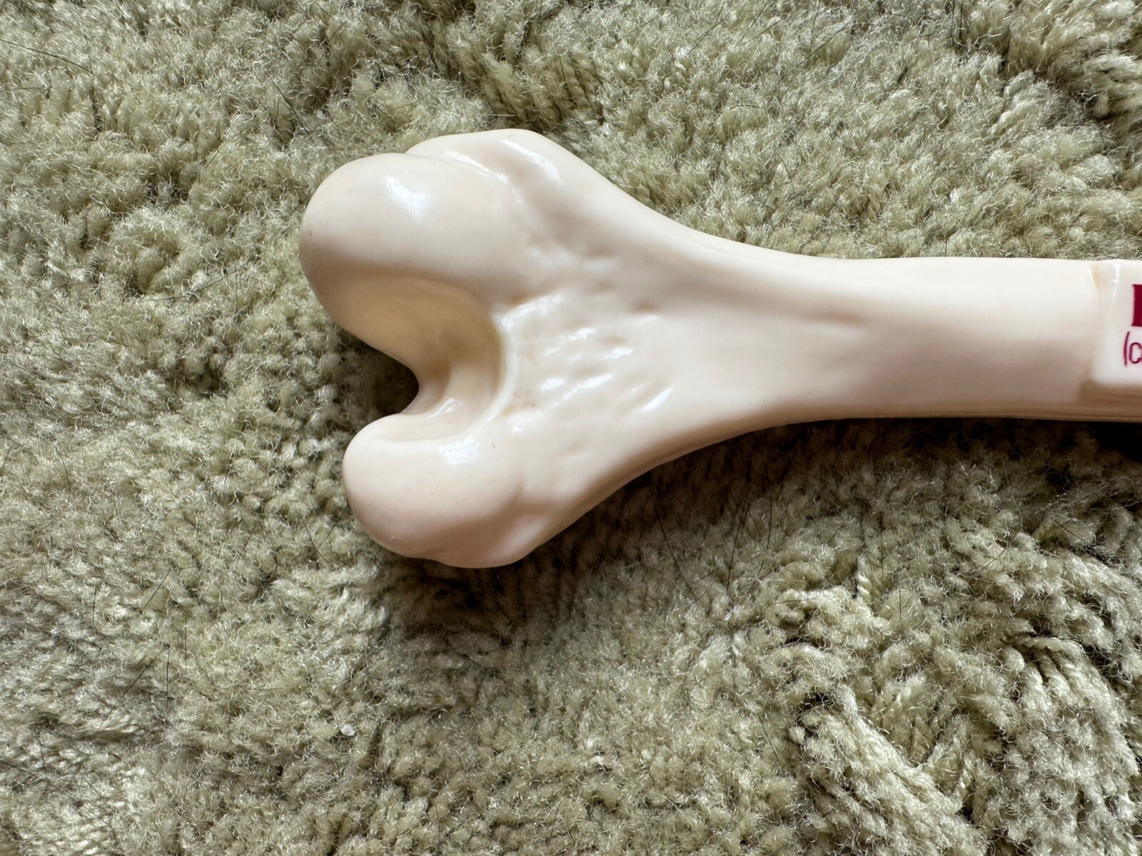 Premarin Faux Bone Drug Rep Model Advertisement