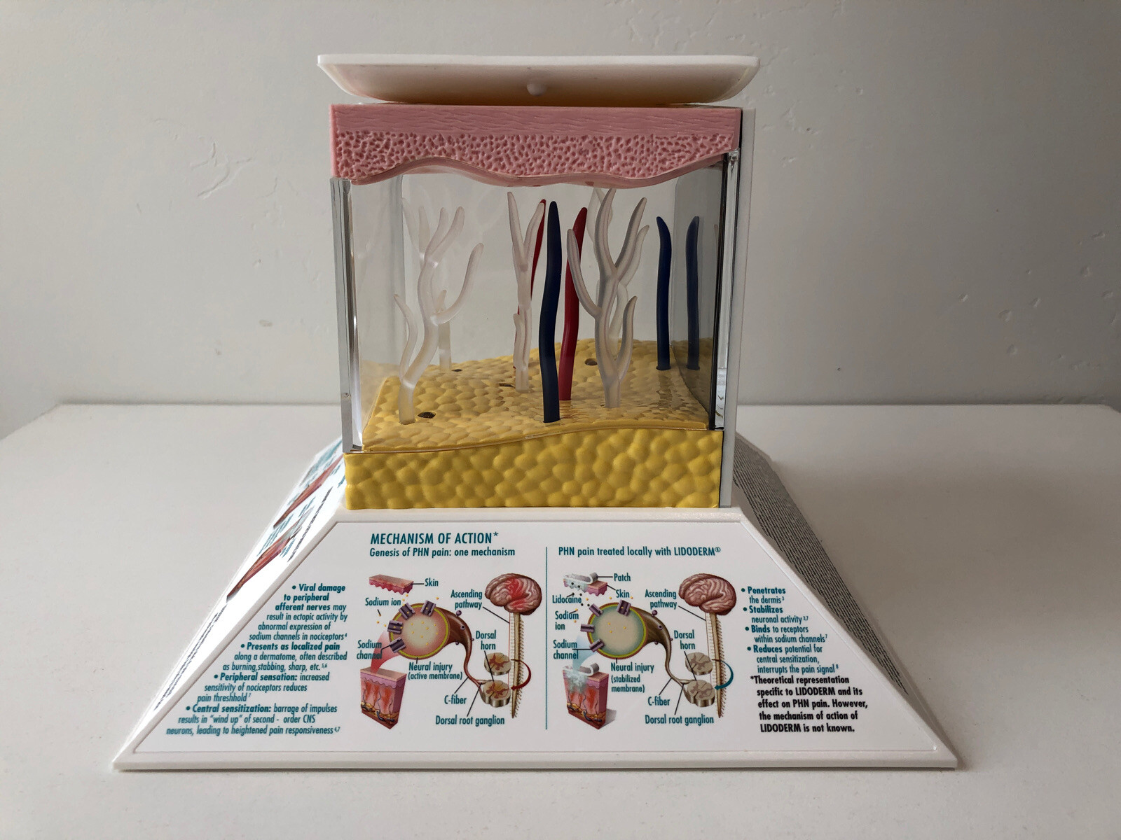 Endo Pharmaceuticals Drug Rep 3D Light Up Lidoderm Lidocaine Patch Model LD-1533
