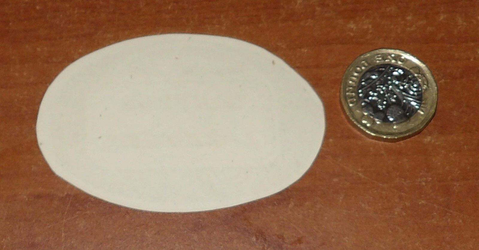 XXXXX RARE VICTORIAN ANTIQUE CAMPHOR LOZENGES POT LID LABEL -ONE OFF LISTING