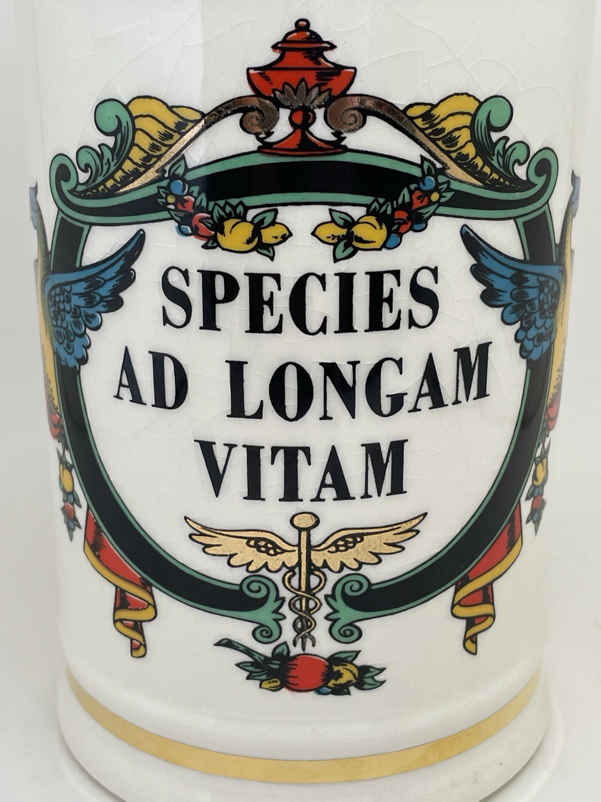 MCM Jeanna Robinette “Species Ad Longham Vitam” 16thCent. Replica Apothecary Jar