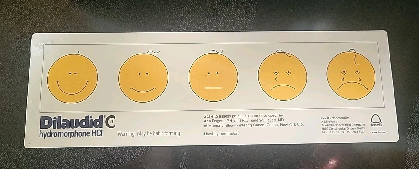 DILAUDID HYDROMORPHONE PAIN SCALE RULER Plastic -Pharmaceutical Rare Promo
