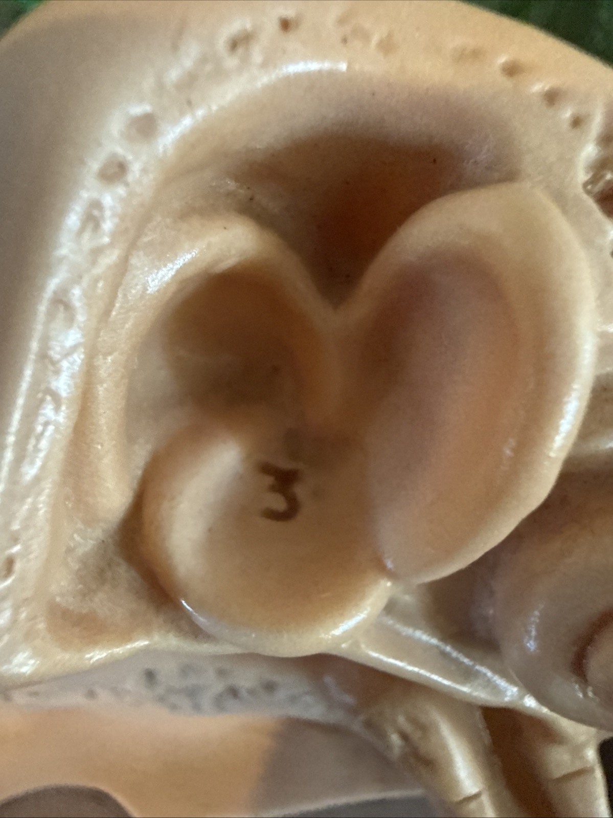 Vintage 1960’s Human Ear Anatomically Correct Beecham Sporin Otic Look