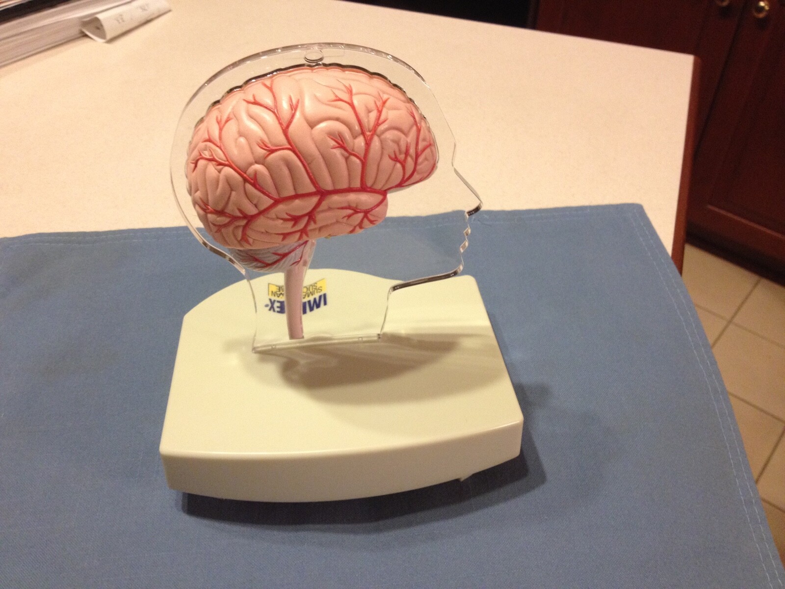 Imitrex Hemi-brain model