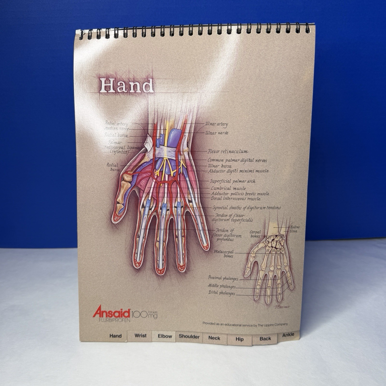 Ansaid Pain Medicine Anatomical Charts Drug Rep Ad Promo Pharma Marketing 1980s
