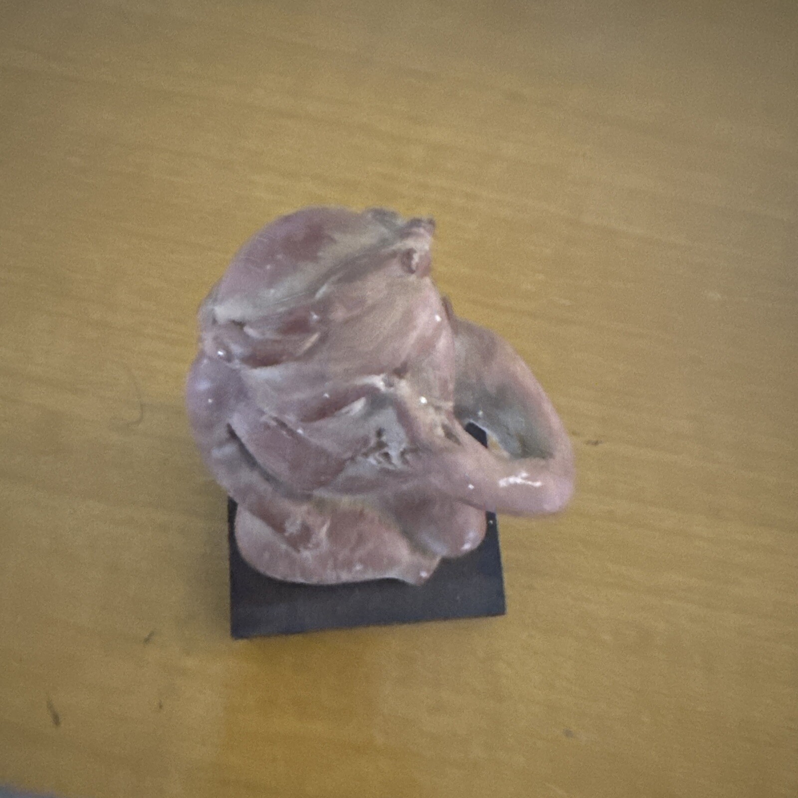 Schering Etrafon Portrait Of Anxiety/Depression pharmaceutical rep statue