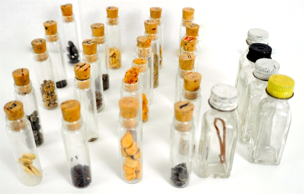 Lot of Vintage Glass Vials w/ Organic Seeds