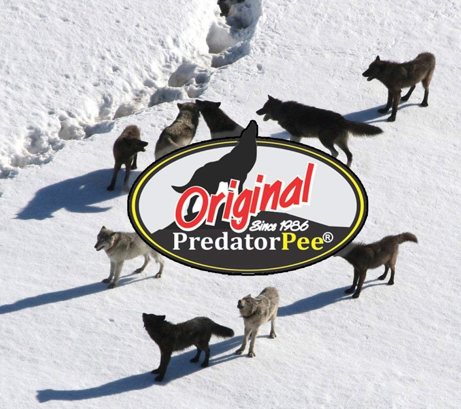 PredatorPee 100% Wolf Urine – Territorial Marking Scent – Creates Illusion Th…