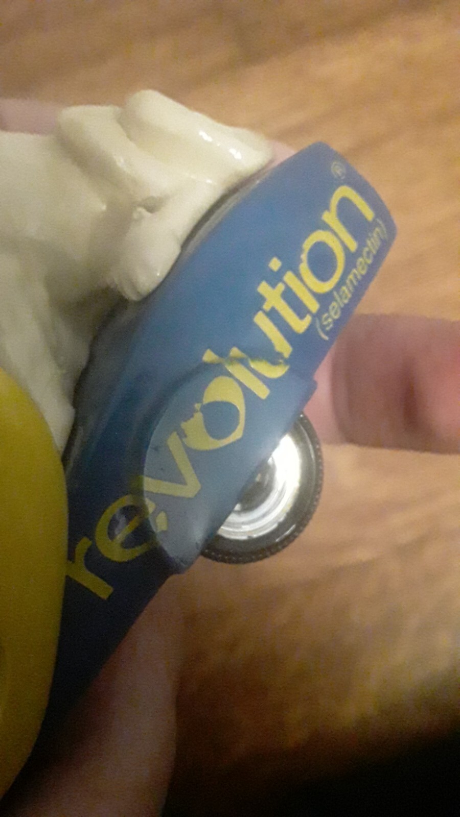 Pfizer Pharmaceutical Rep Diecast Cat/Dog Truck “Revolution ” Advertising A1