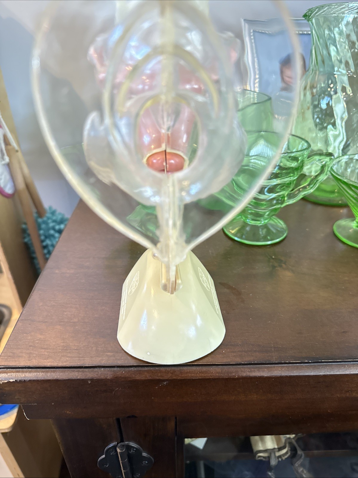 VINTAGE ORTHO PHARMACEUTICAL FEMALE REPRODUCTIVE ANATOMY MODEL Excellent Look
