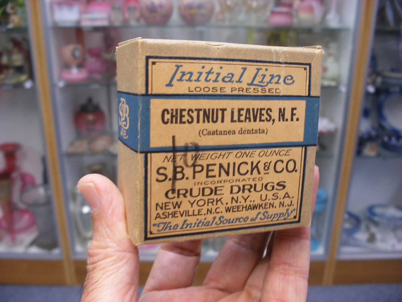 Vtg Medical Pharmacy Quack Cure Initial Line S. B. Penick Co. – Chestnut Leaves
