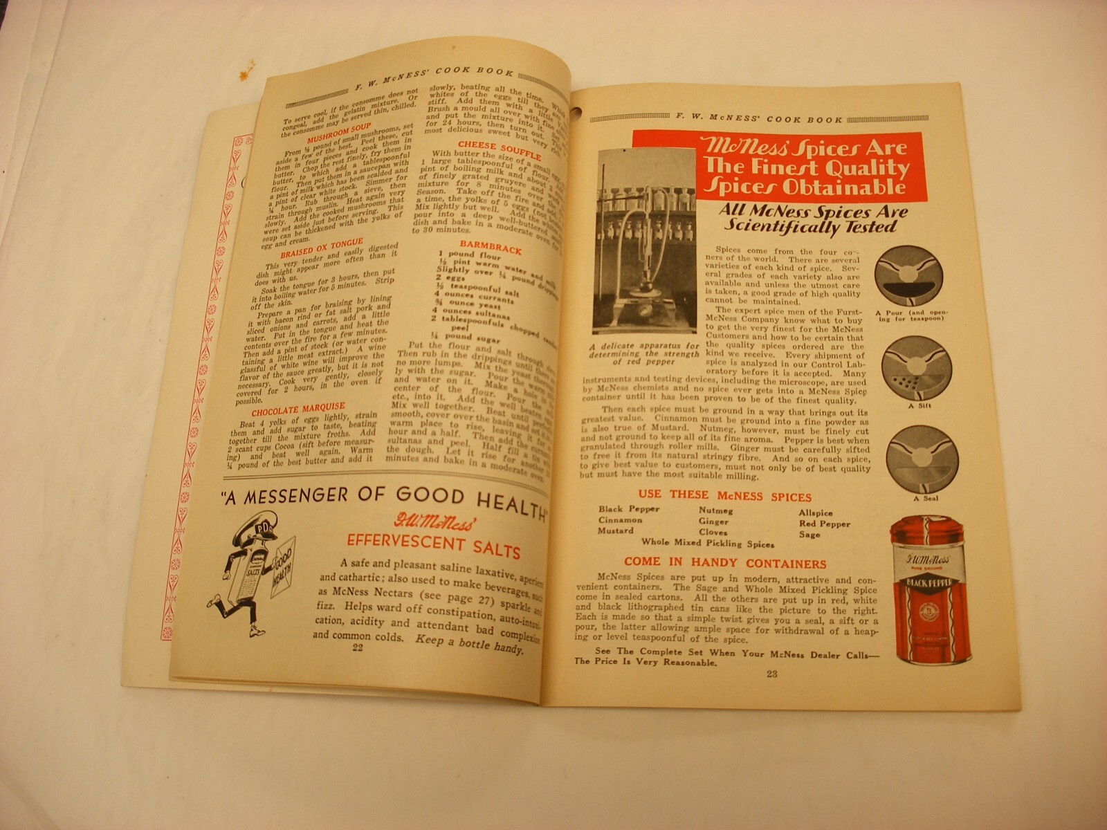 Vtg 1933 F. W. McNess Co. Freeport IL Pharmacy Medical Cure Cookbook