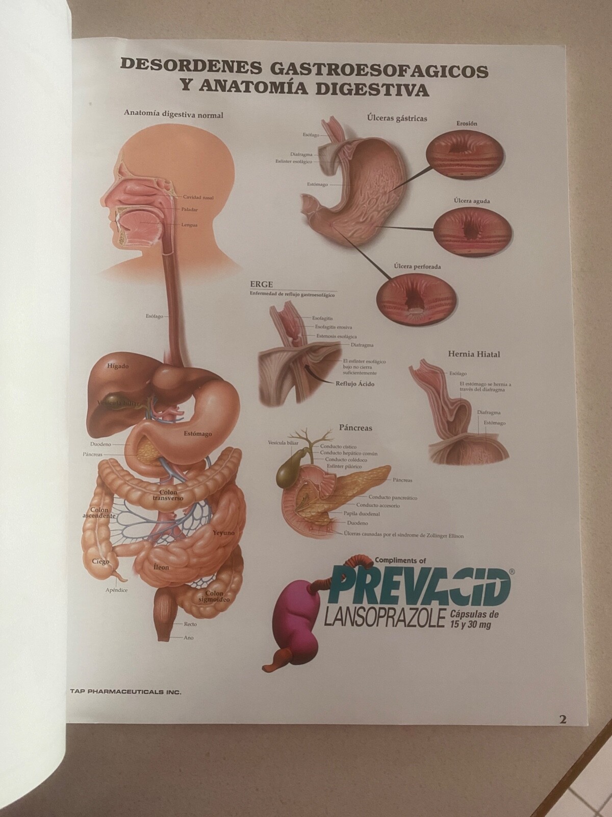 Drug rep 14″X11″ book bound Anatomic Charts