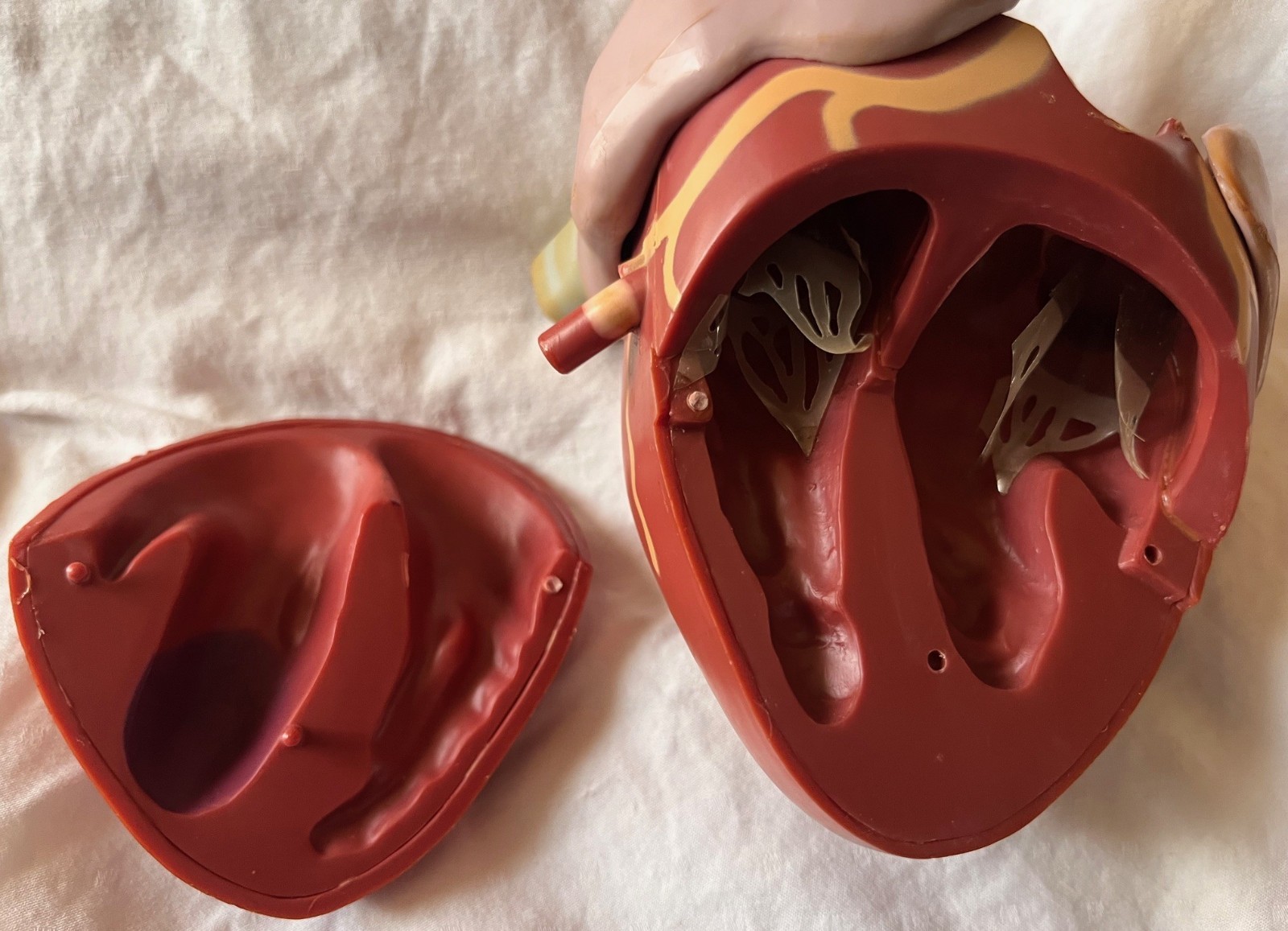 VINTAGE!! Heart Display- Retro and Super Cool!