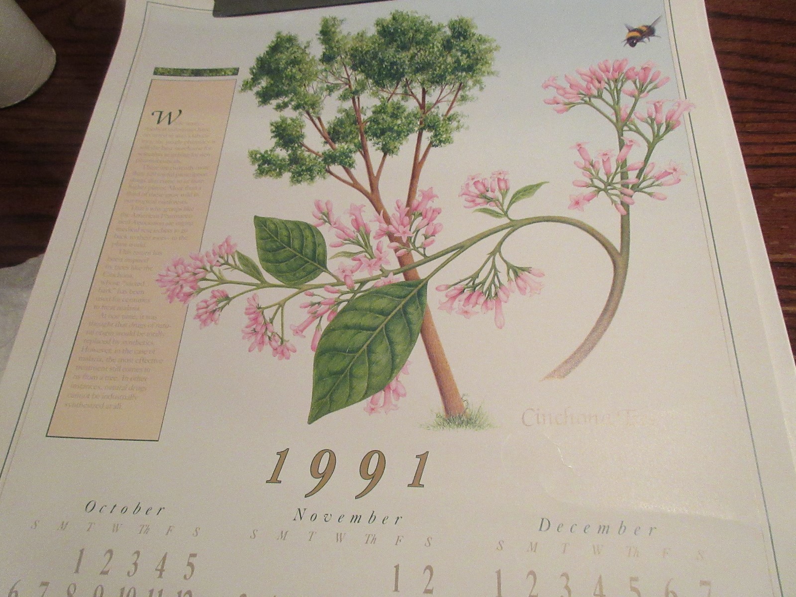 Rx ,Pharmacy , POSTER ,18″ X 24″ ,Photographs Depicting History & Heritage ,1991