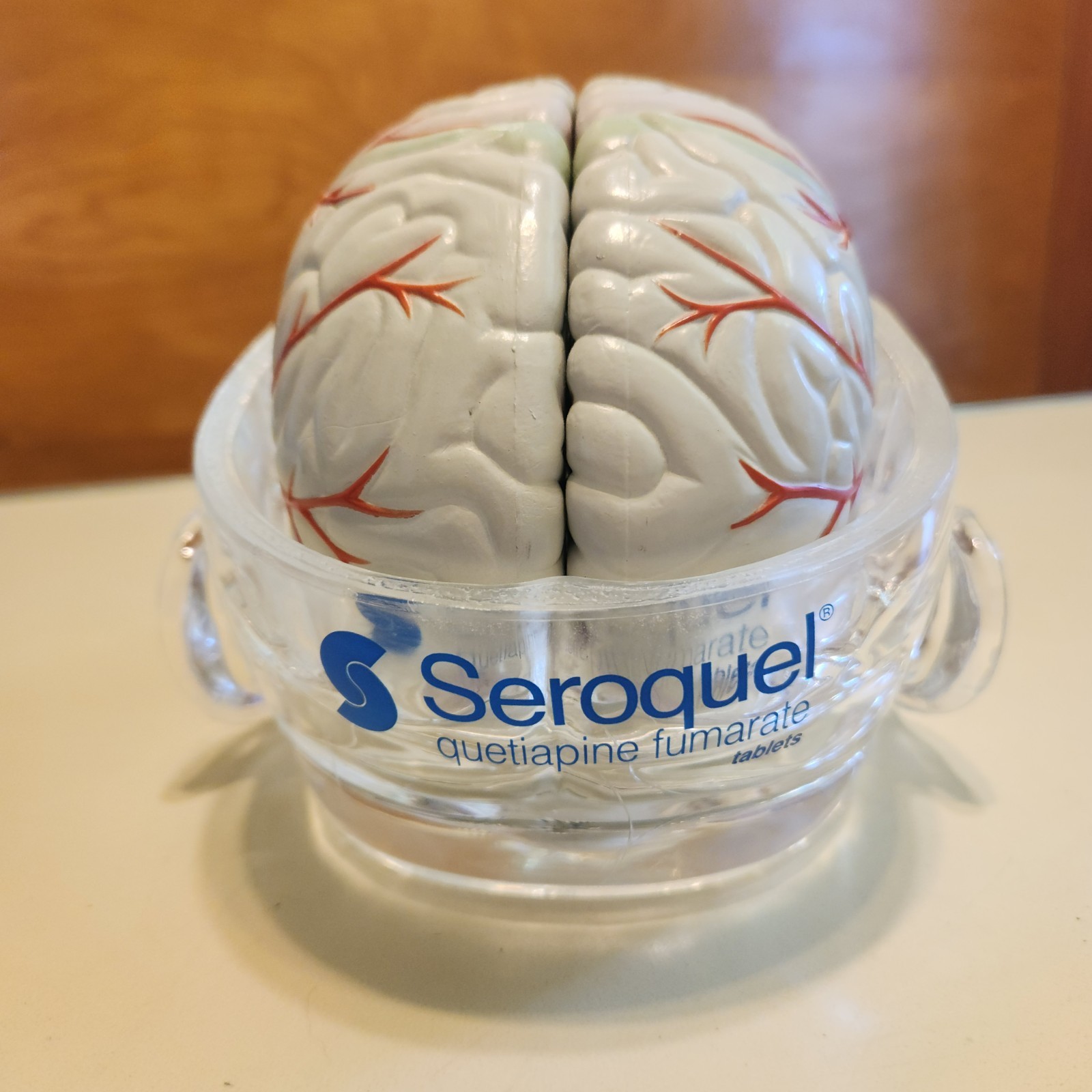 Seroquel Head Skull Brain Model Medical Pharmaceutical Science Display Clear