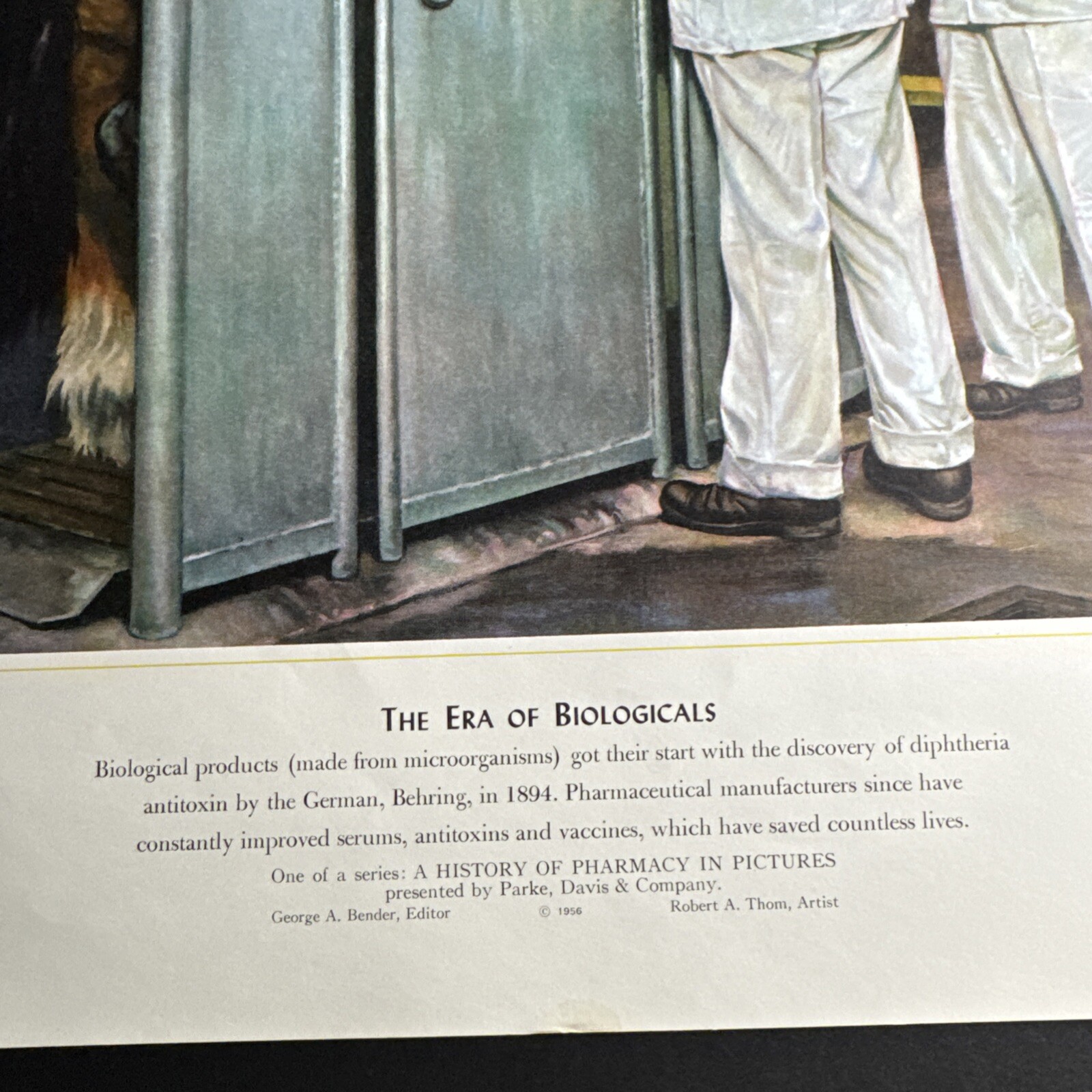 A HISTORY OF PHARMACY IN PICTURES 1954 PRINT Great Gift For Doctor 22″×18″