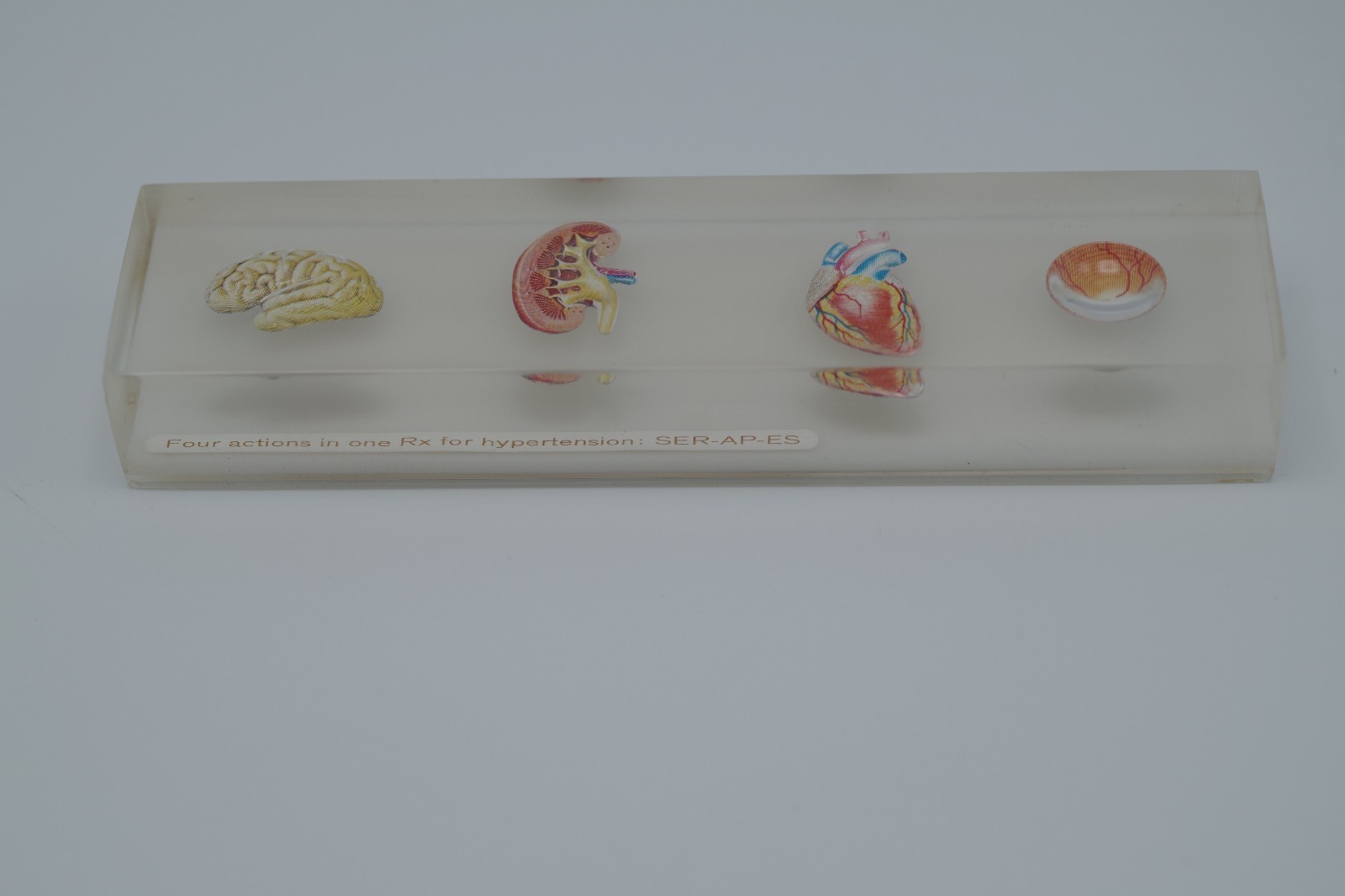 CIBA PHARMACEUTICAL PHYSICIAN’S PAPERWEIGHT BODY ORGANS SER-AP-ES ADVERTISING
