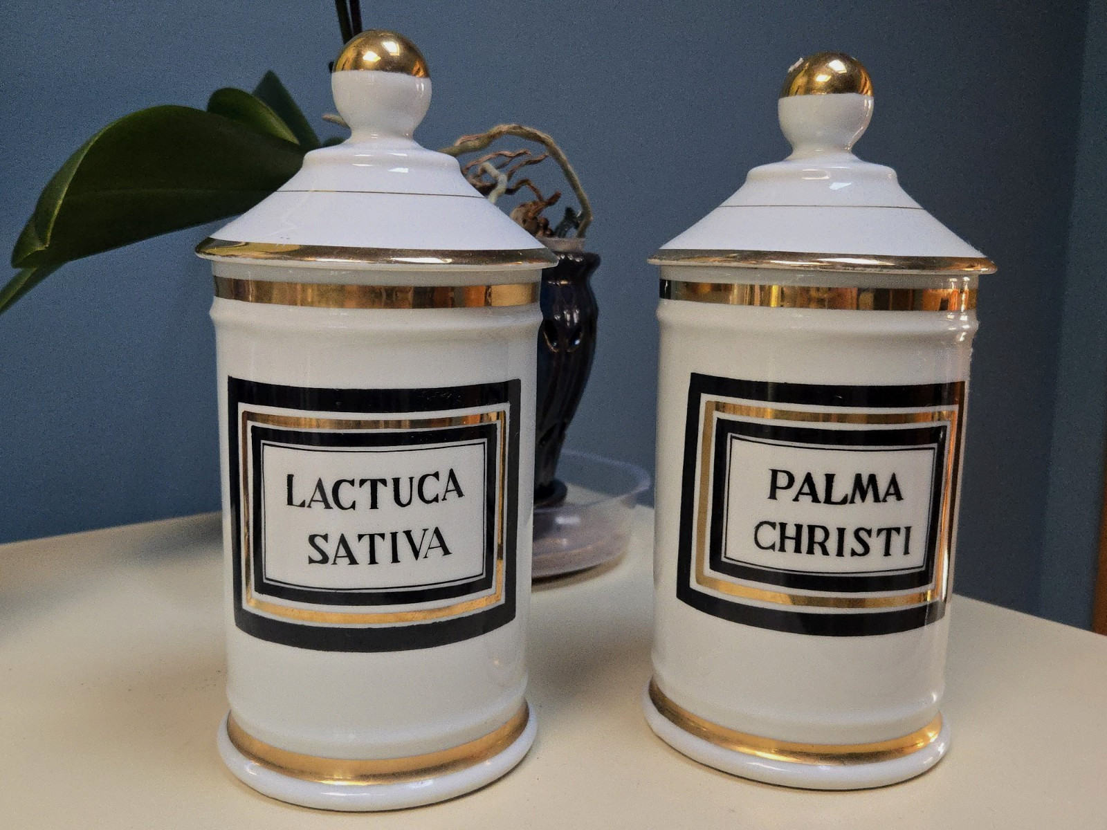 2 Antique Apothecary Jars Porcelain Palma Christi and Lactuca Sativa