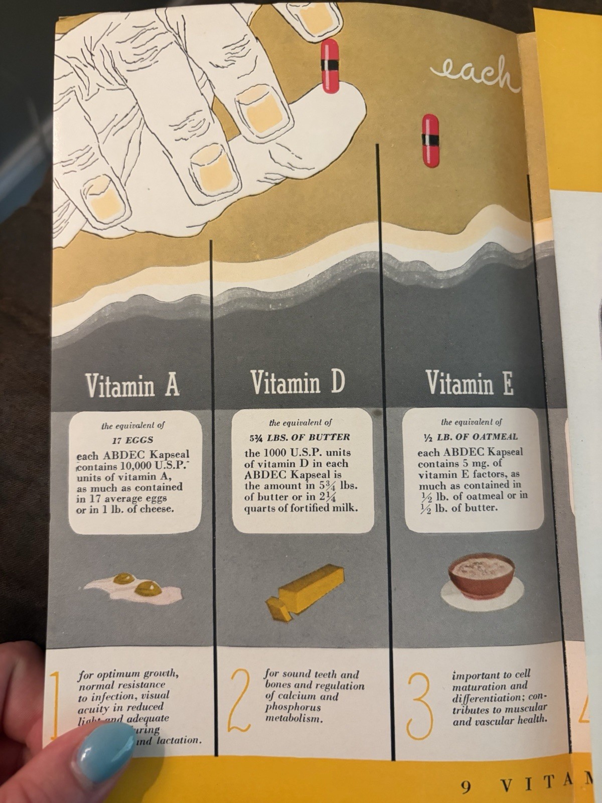 Parke, Davis & Company ABDEC Kapseal Daily Medicamenta Vera Brochure Booklet