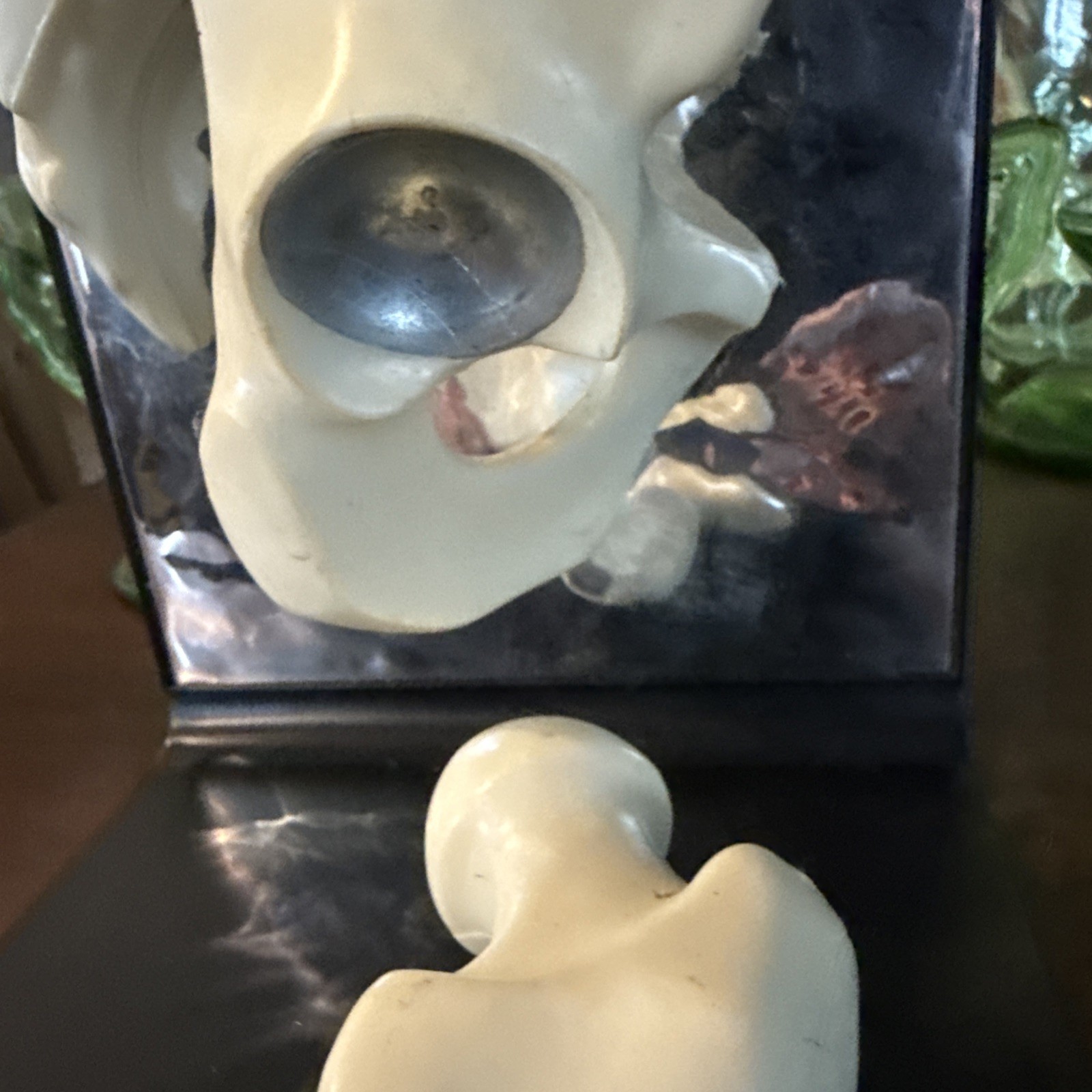 Vintage 1980’s Merck Indocin Human Hip Anatomically Correct Excellent Look