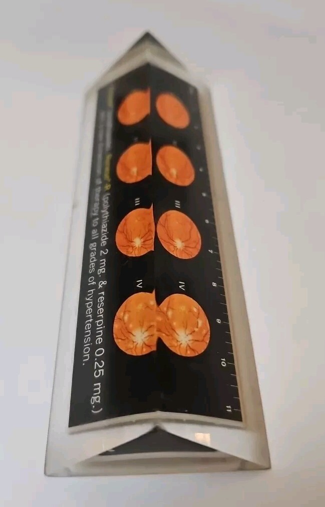 RENESE Pfizer Pharmaceutical Promo Vintage 1964 LUCITE Advertising Ruler