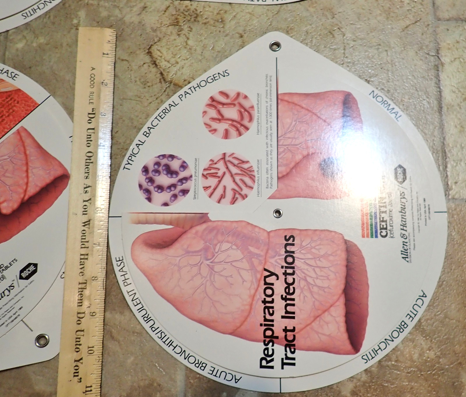 Lot of 4 Respiratory Tract Infections Wheel Medical Displays CEFTIN Advertising