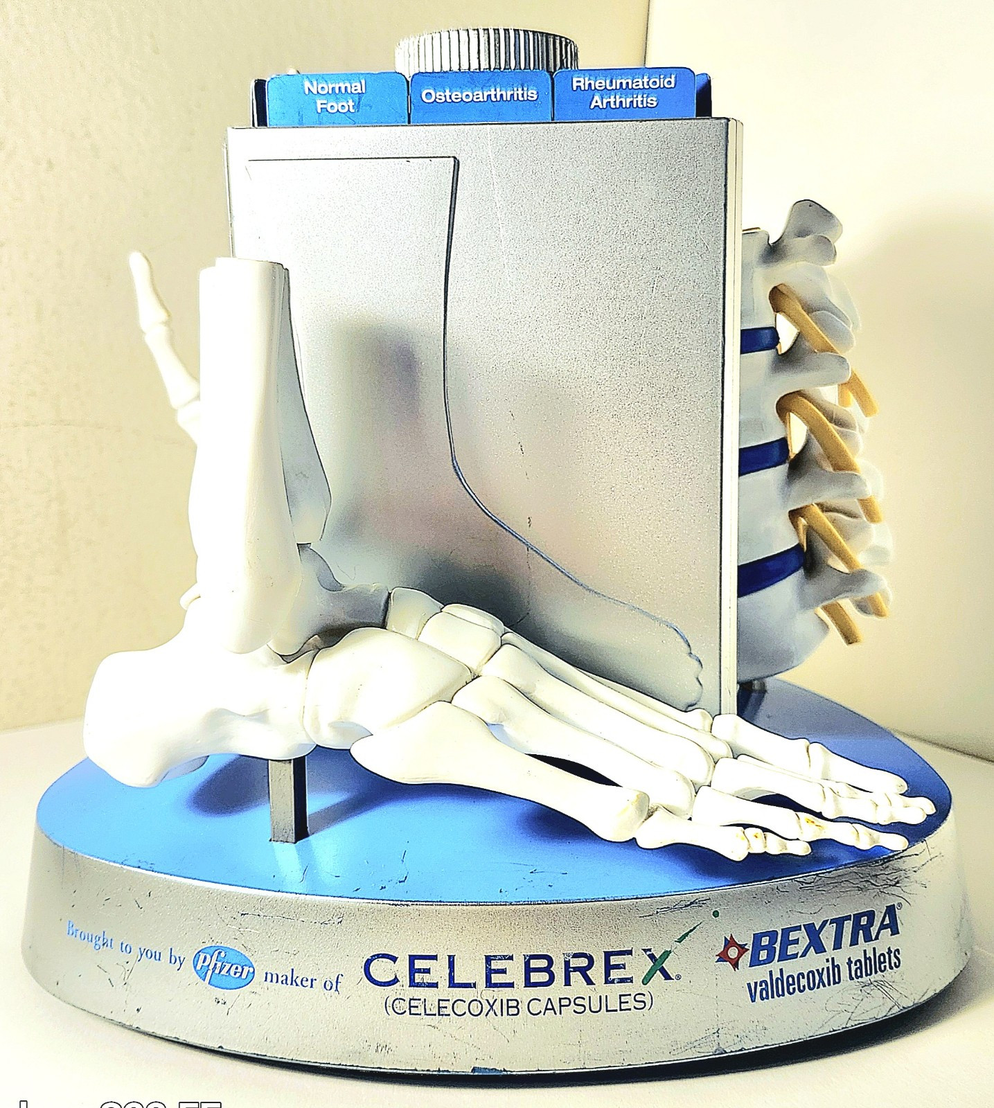 “Anatomical Arthritis Model” Of a Hand, Foot, & Spine ~Pfizer~ Celebrex/Bextra