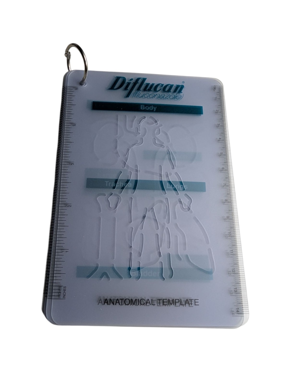 Vintage 1998 Drug Rep Pfizer Diflucan 6″ Anatomical Template Advertisement