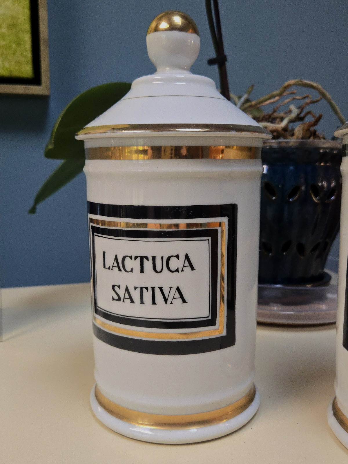 2 Antique Apothecary Jars Porcelain Palma Christi and Lactuca Sativa