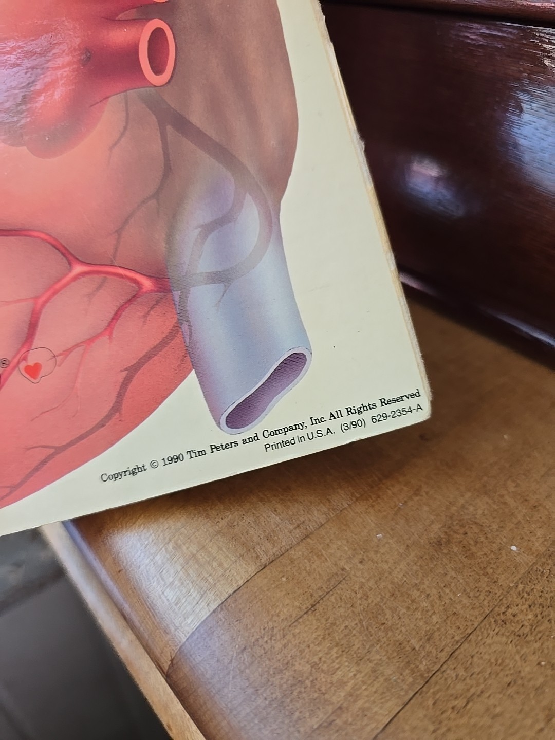 The Patient Guide to the Human Heart (Transiderm Nitro) Medical History 1990